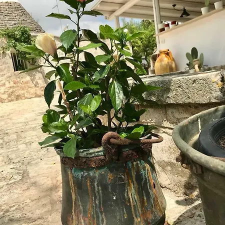 Villa Trulli Storie Di Puglia - Private Pool