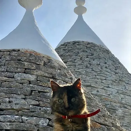 Trulli Storie Di Puglia - Private Pool Polignano a Mare