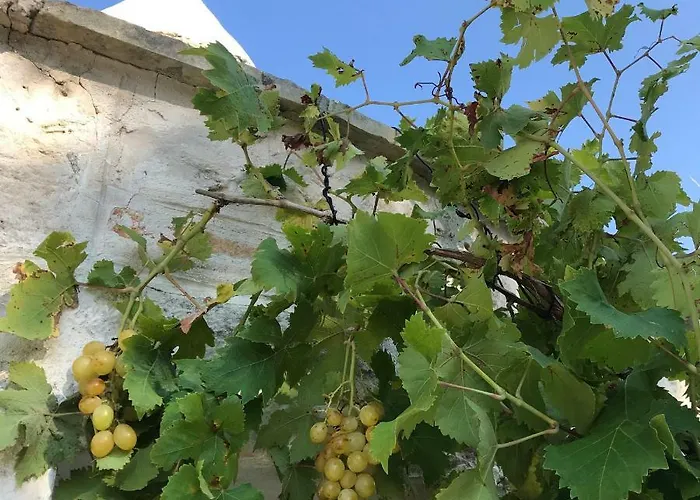 Вилла Trulli Storie Di Puglia - Private Pool Полиньяно-а-Маре