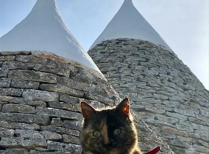 Trulli Storie Di Puglia - Private Pool Полиньяно-а-Маре