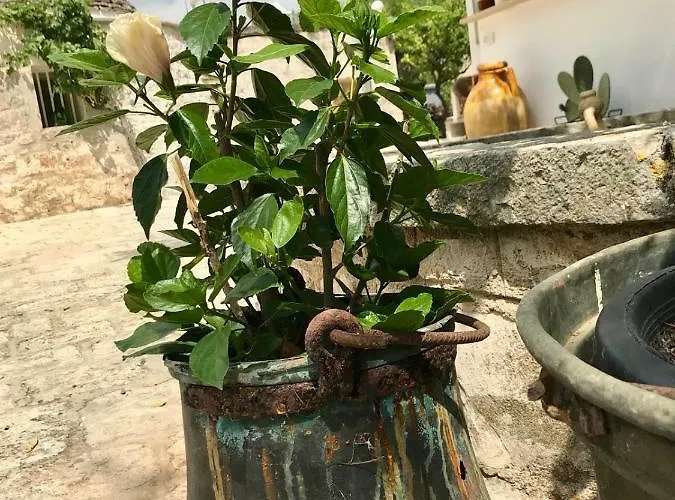 Вилла Trulli Storie Di Puglia - Private Pool